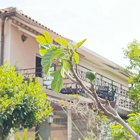 Green Park And Sunny Terrace Apartments Ankaran Exterior photo