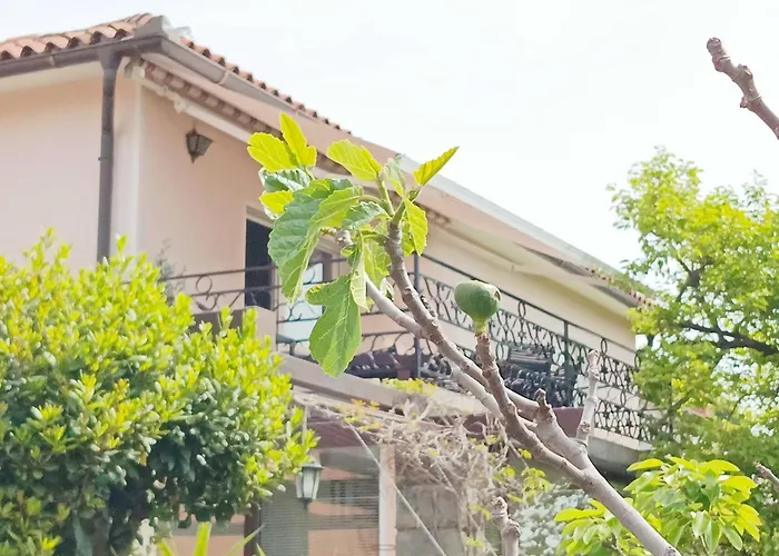 Green Park And Sunny Terrace Apartments Ankaran