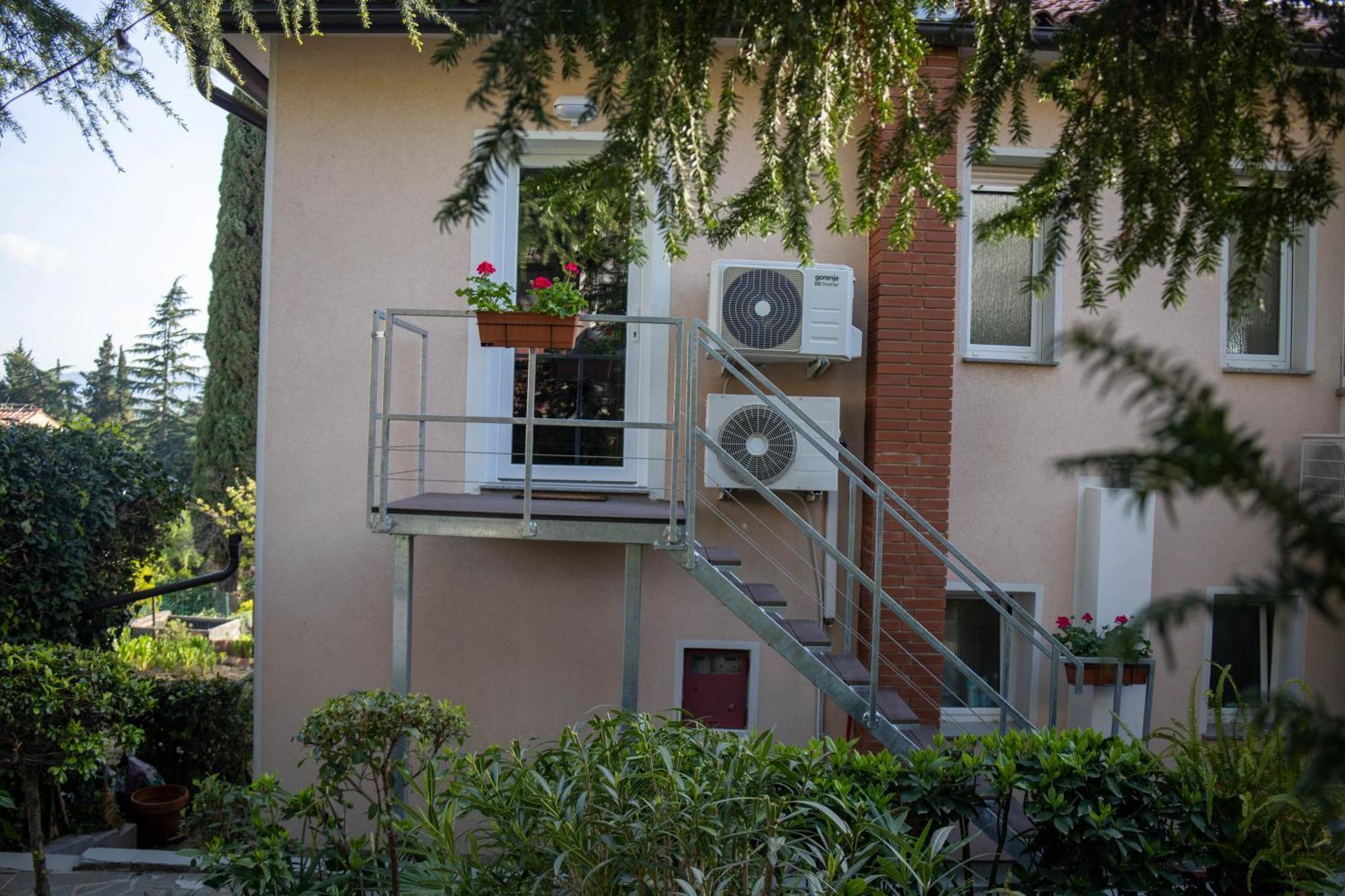 Apartment Park And Sunny Terrace