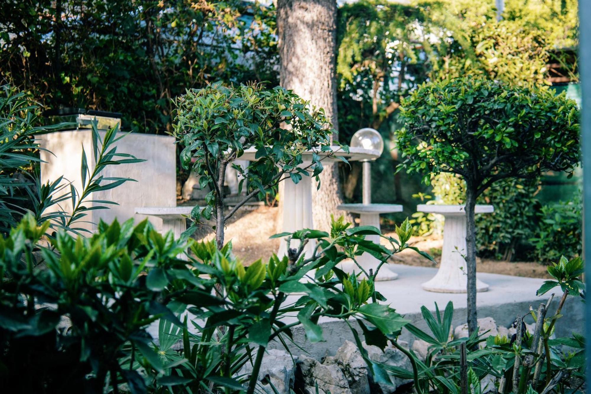 Park And Sunny Terrace Apartment