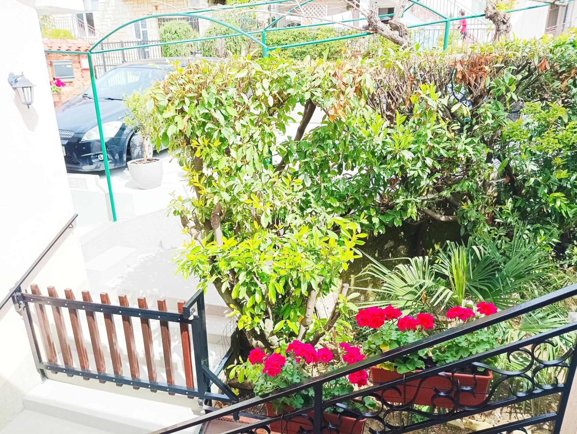 Park And Sunny Terrace Ankaran