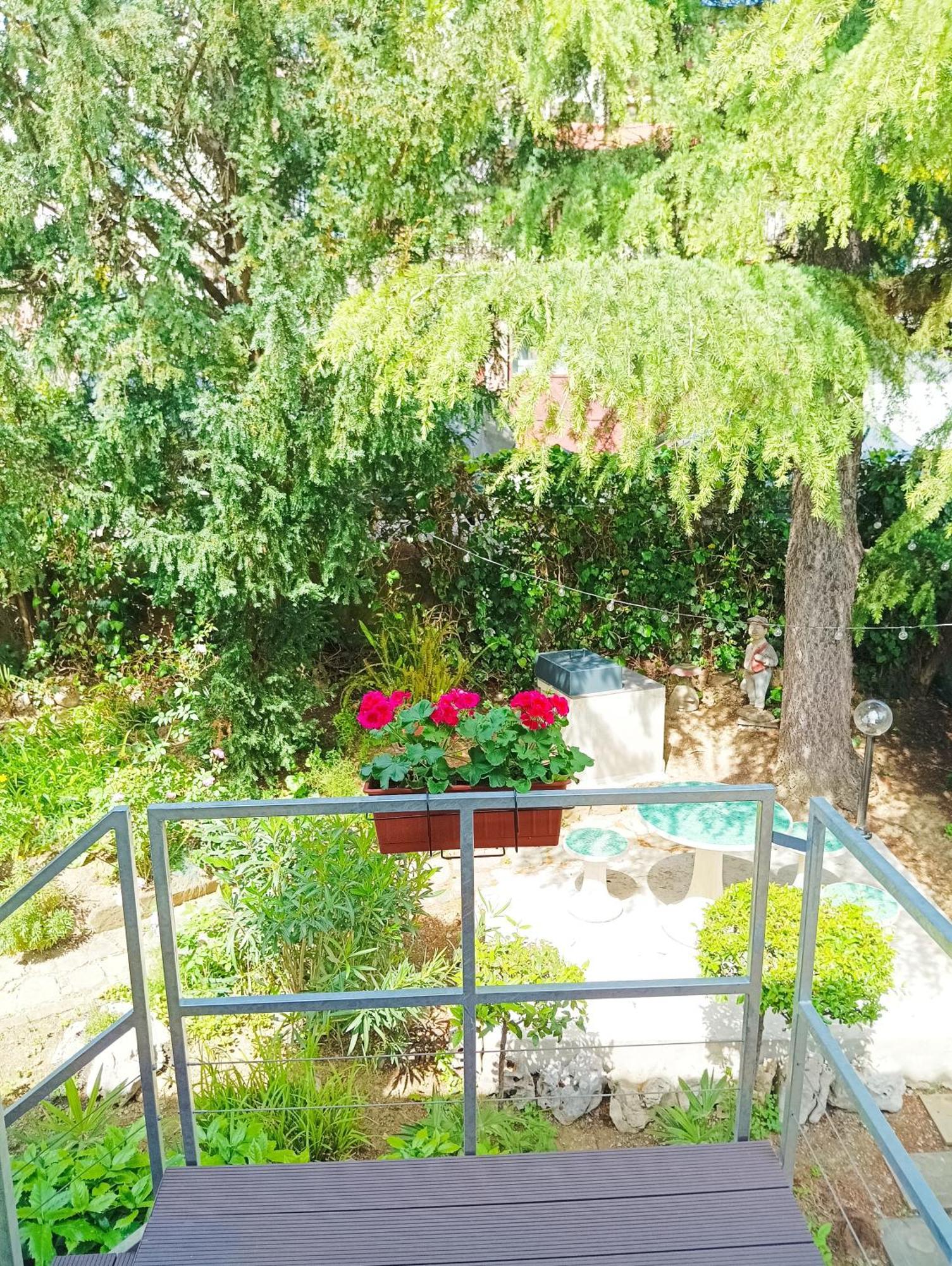 Park And Sunny Terrace